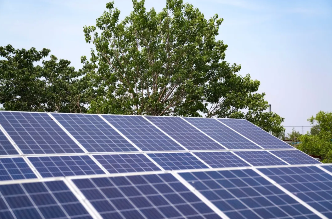 又一利好！《关于促进可再生能源绿色电力证书市场高质量发展的意见》出台