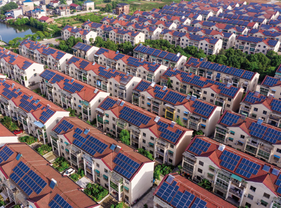 @所有人 低碳环保还能增收，快来打卡&ldquo;浙&rdquo;里闪光点