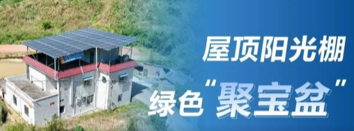 中国新闻网：正泰安能阳光棚成广东龙川用户&ldquo;聚宝盆&rdquo;