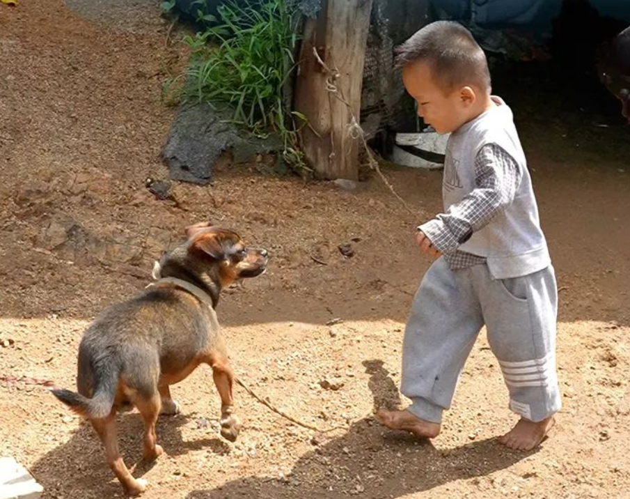 屋顶看乡村 | 幼有所长！&ldquo;沐光庭&rdquo;点亮留守儿童阳光未来